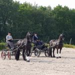 Tessa ut 'e Reiden in de Hjouwer tijdens de open dag (6-2018)