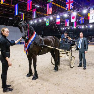 Finale tuigen 2023 Albert lueks met Cecilia von Greifenstolz