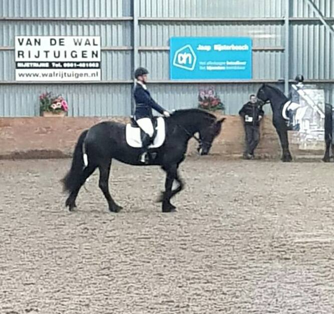 Dressuur wedstrijd Sonnega